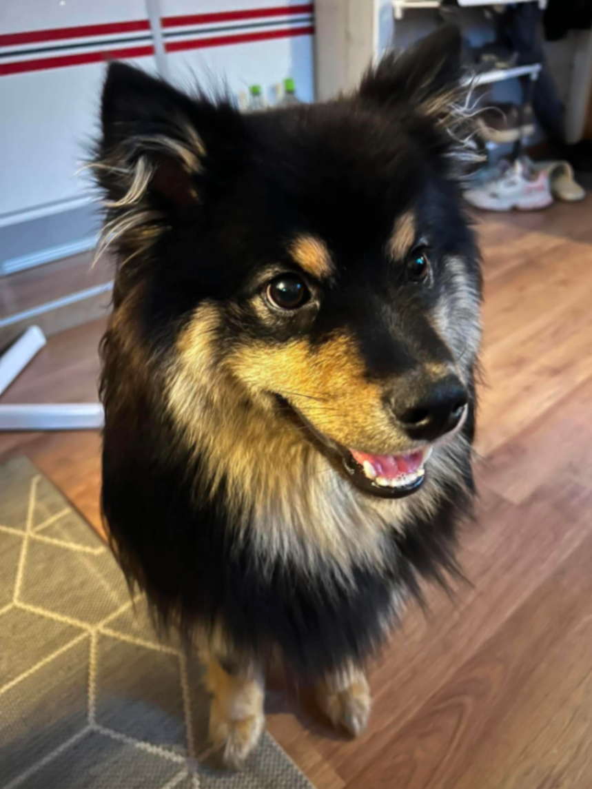 Kira