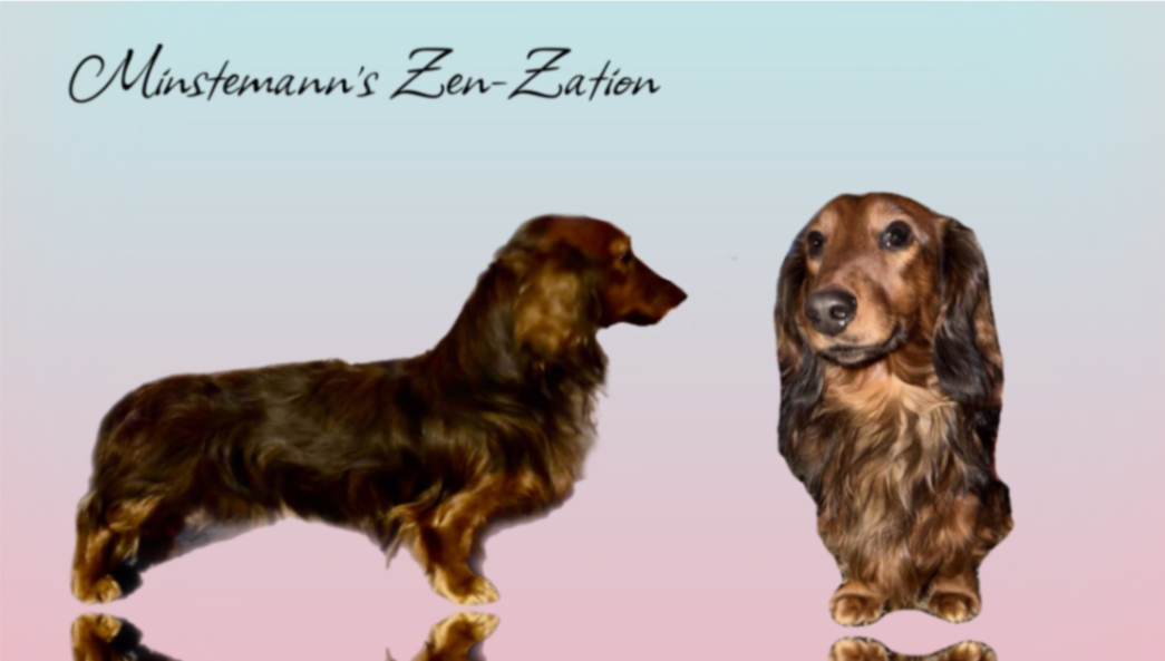 Minstemann’s Zen-Zation