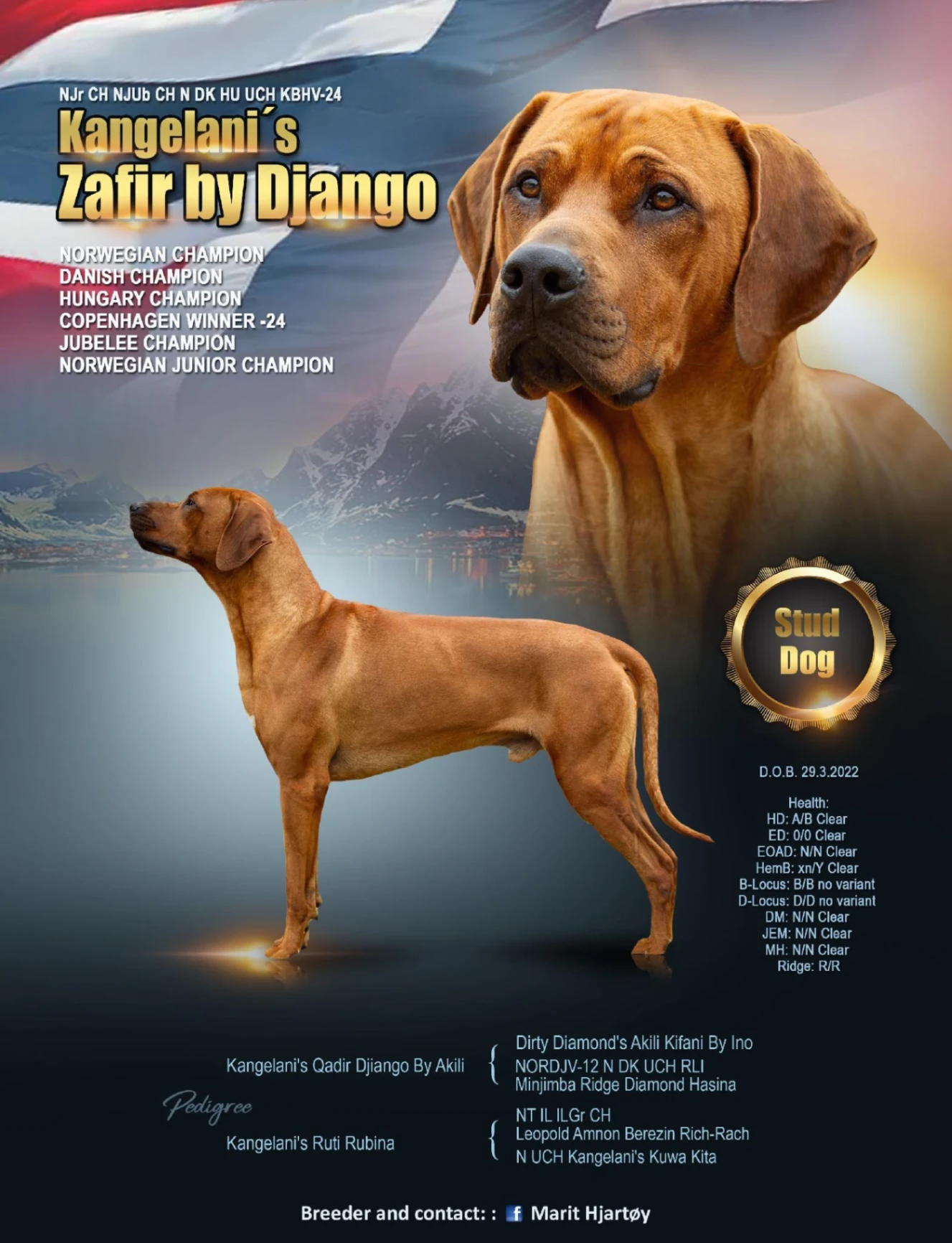 Zafir