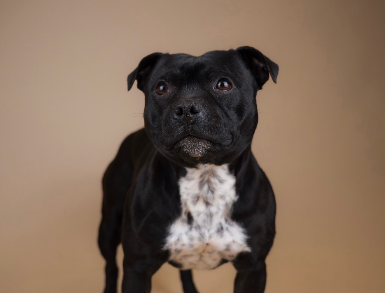 Skye