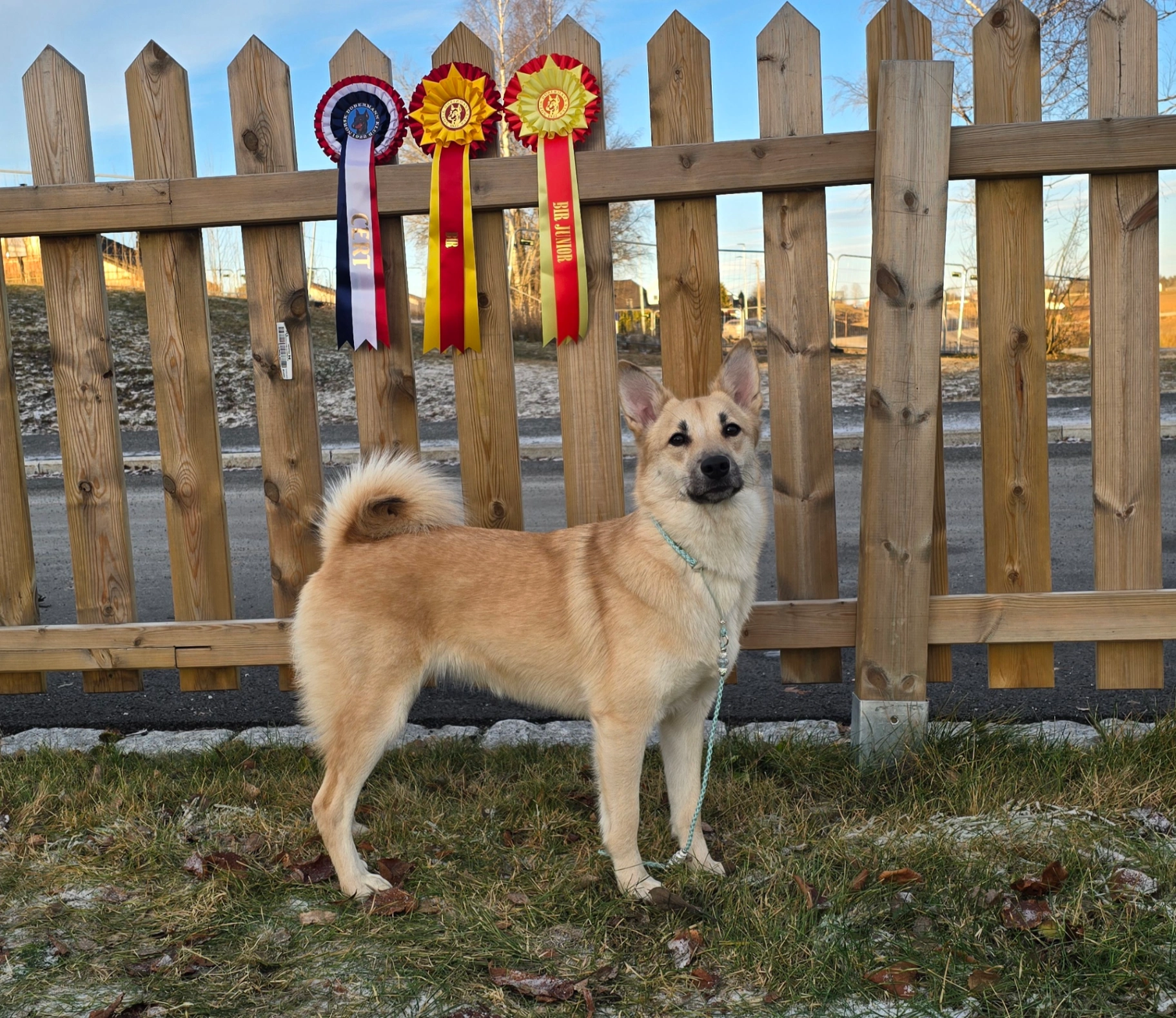 Granskauens Cathinka Laradatter