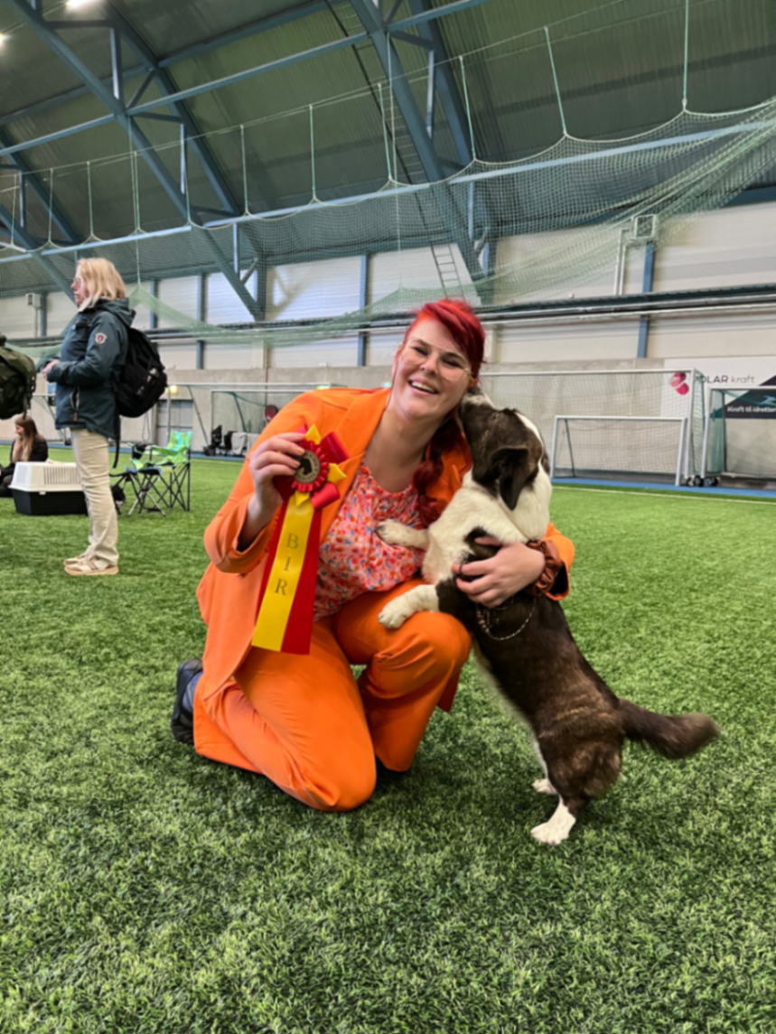 Kennel AnKiAlvana