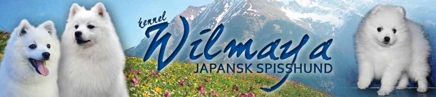 Wilmaya