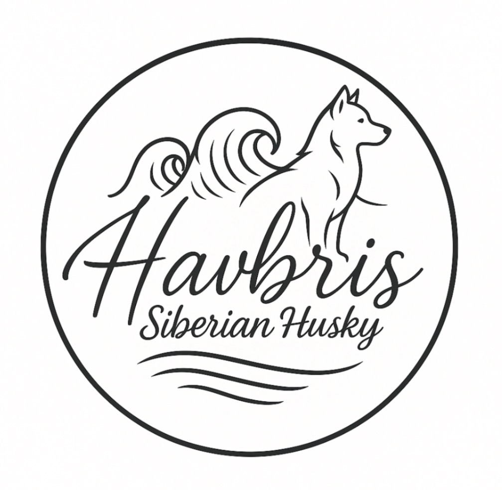 Havbris