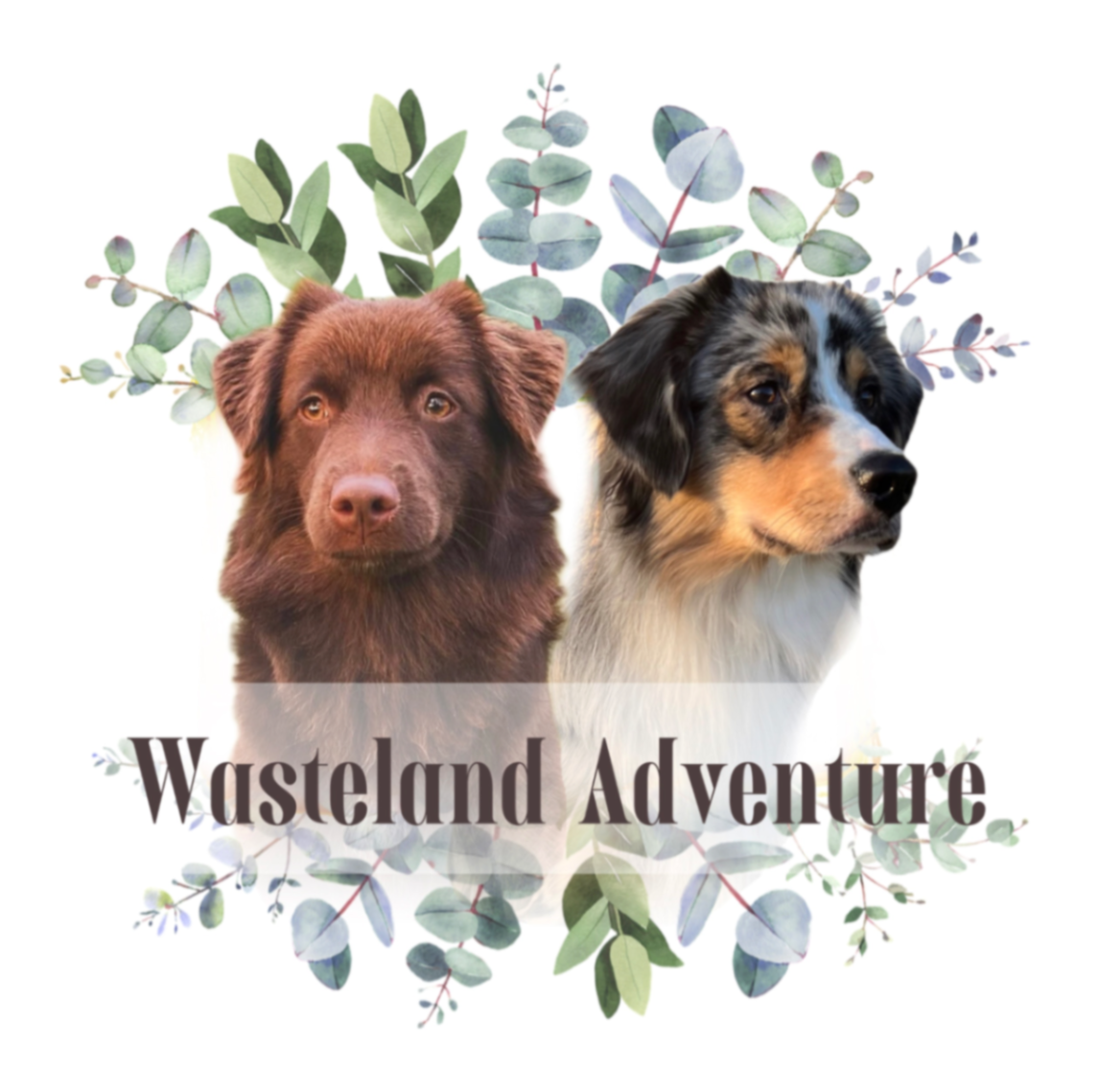 Wasteland Adventure