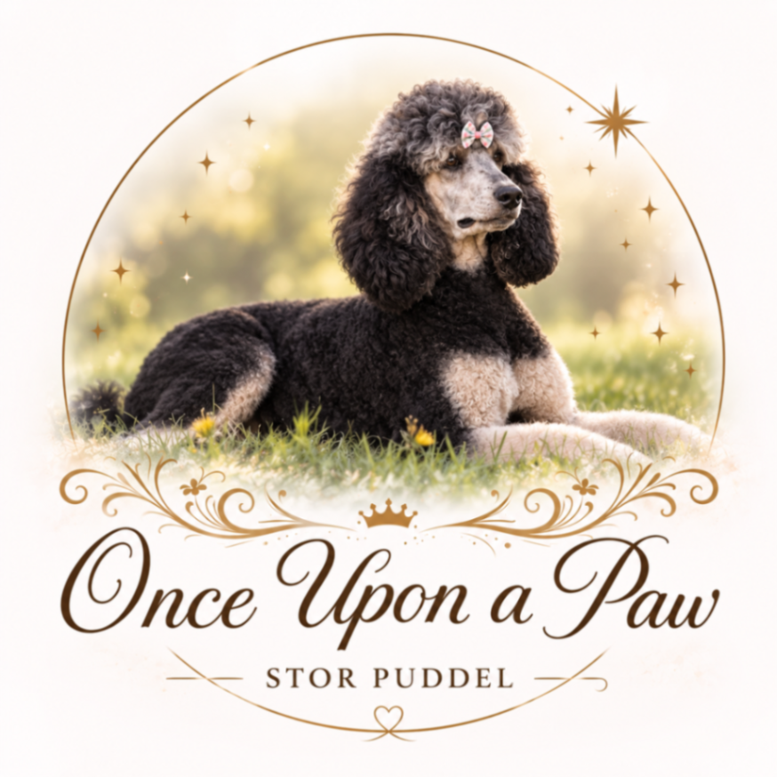 Once Upon a Paw