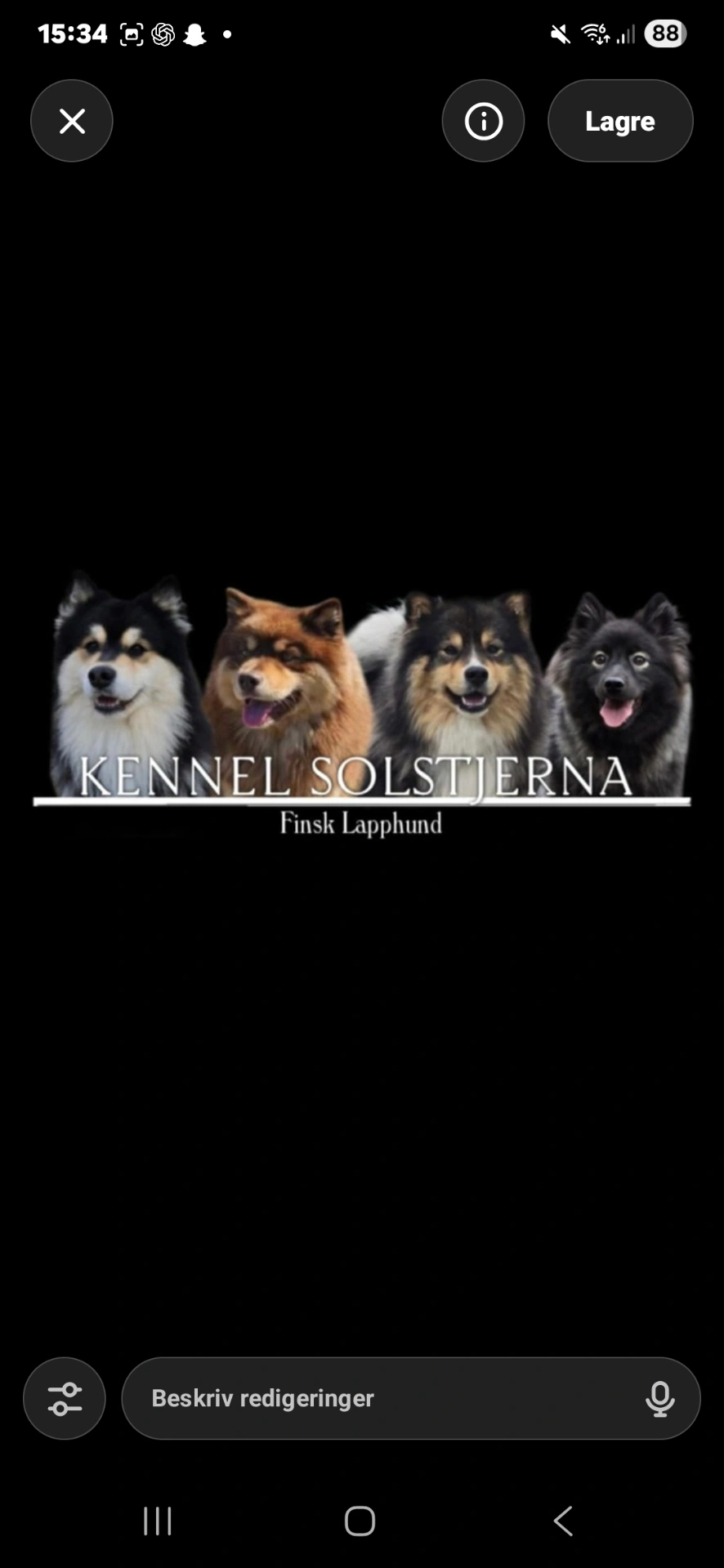 Solstjerna