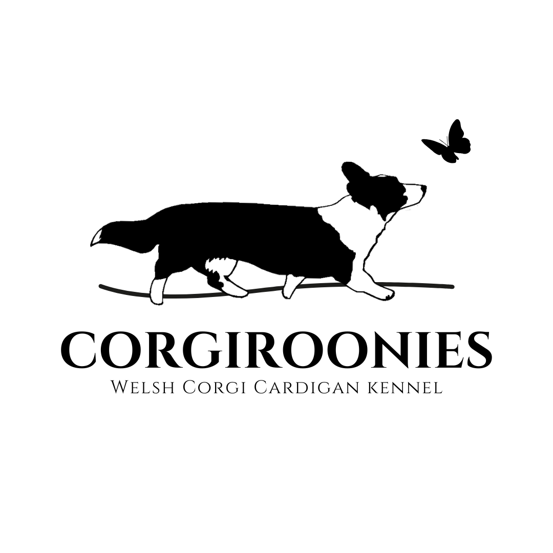 Corgiroonies
